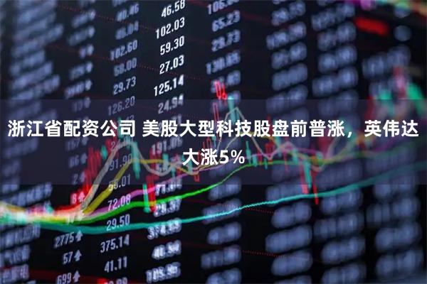 浙江省配资公司 美股大型科技股盘前普涨，英伟达大涨5%