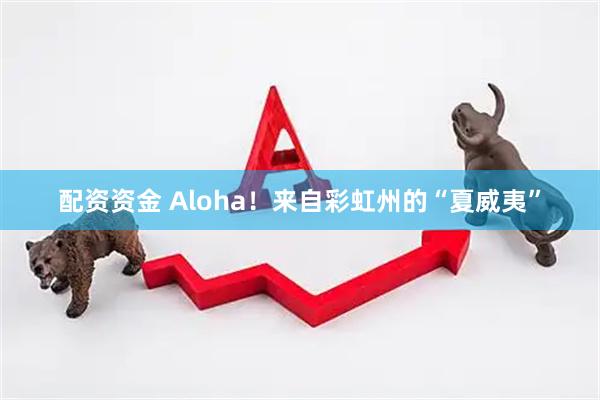 配资资金 Aloha！来自彩虹州的“夏威夷”